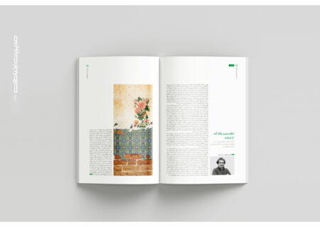 شاید سیب چکه کند از درخت