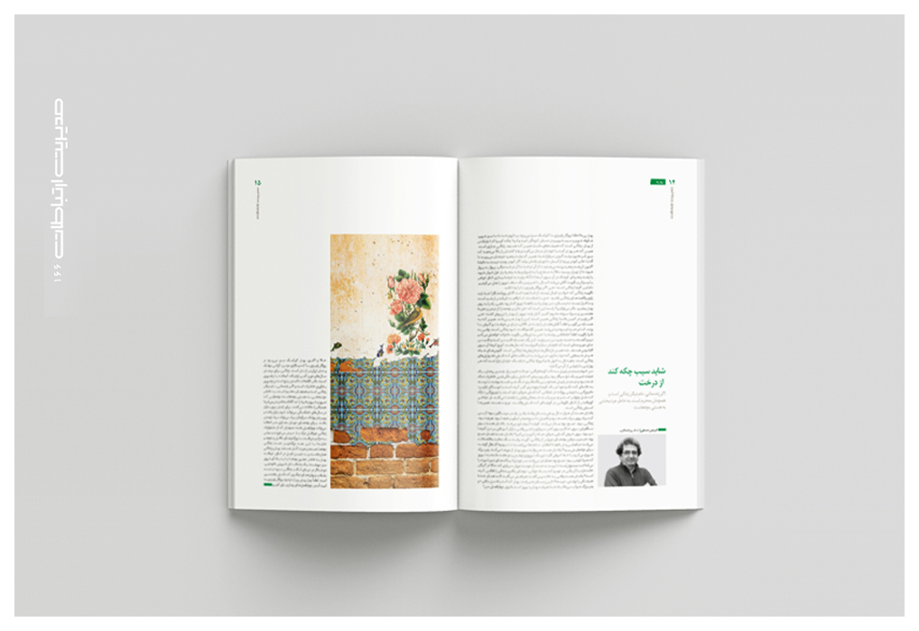 شاید سیب چکه کند از درخت